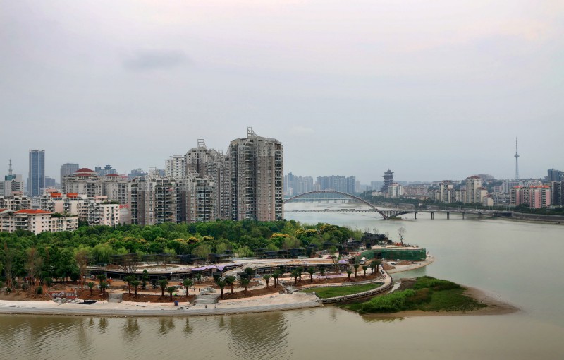 项目治理
