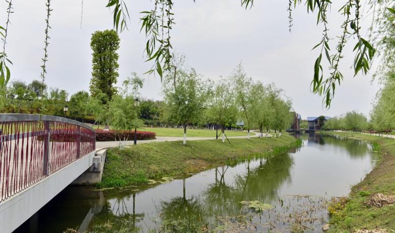 小枧生态湿地公园
