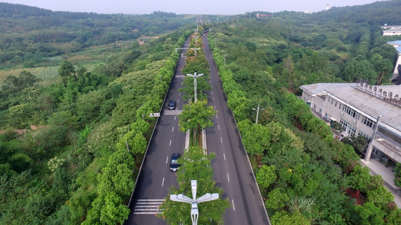 绵阳机场路刷新提升（黑化）工程