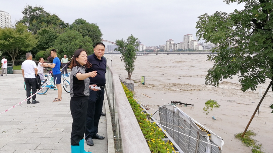 06-8月17日，，肖林书记在三江码头检查洪峰过境情形_副本