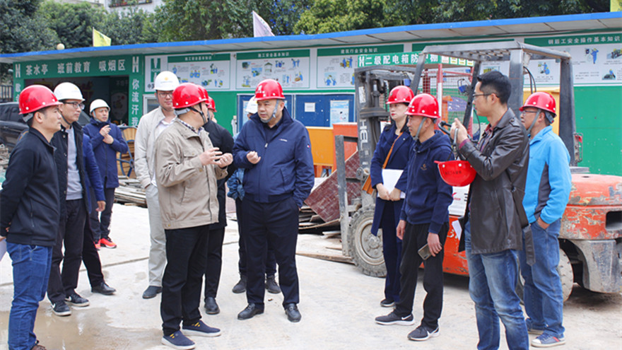 肖董视察南河-照片1