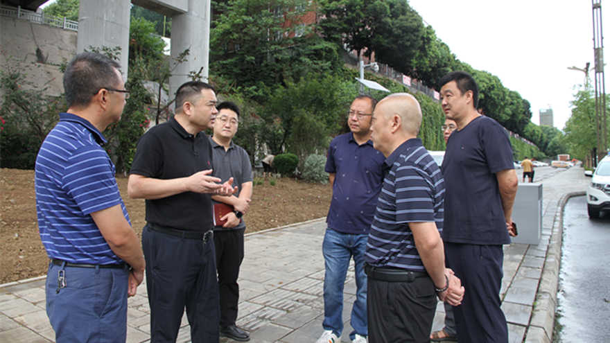 肖董巡察剑南路刷新一期