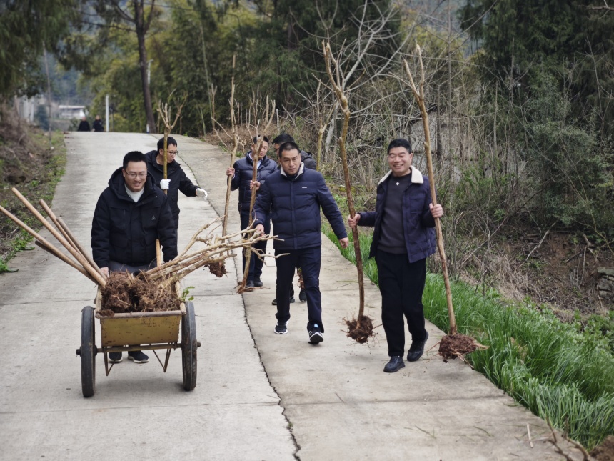 党建为笔 植绿墟落——政企携手共绘墟落振兴新景